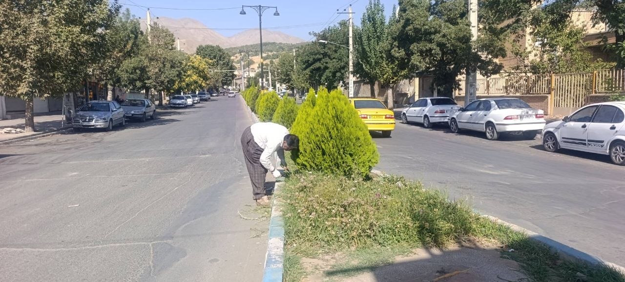 بدون عنوان