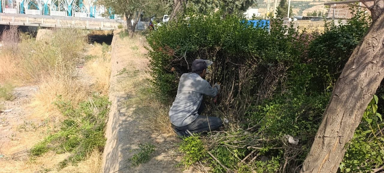 بدون عنوان