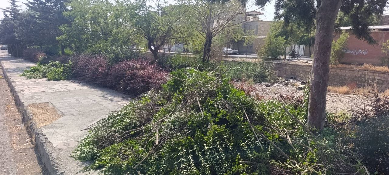 بدون عنوان