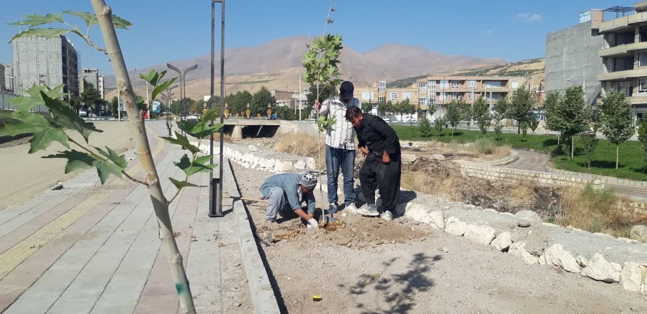آغاز کاشت نهال و درخت در فاز چهارم ساحلی اشنویه