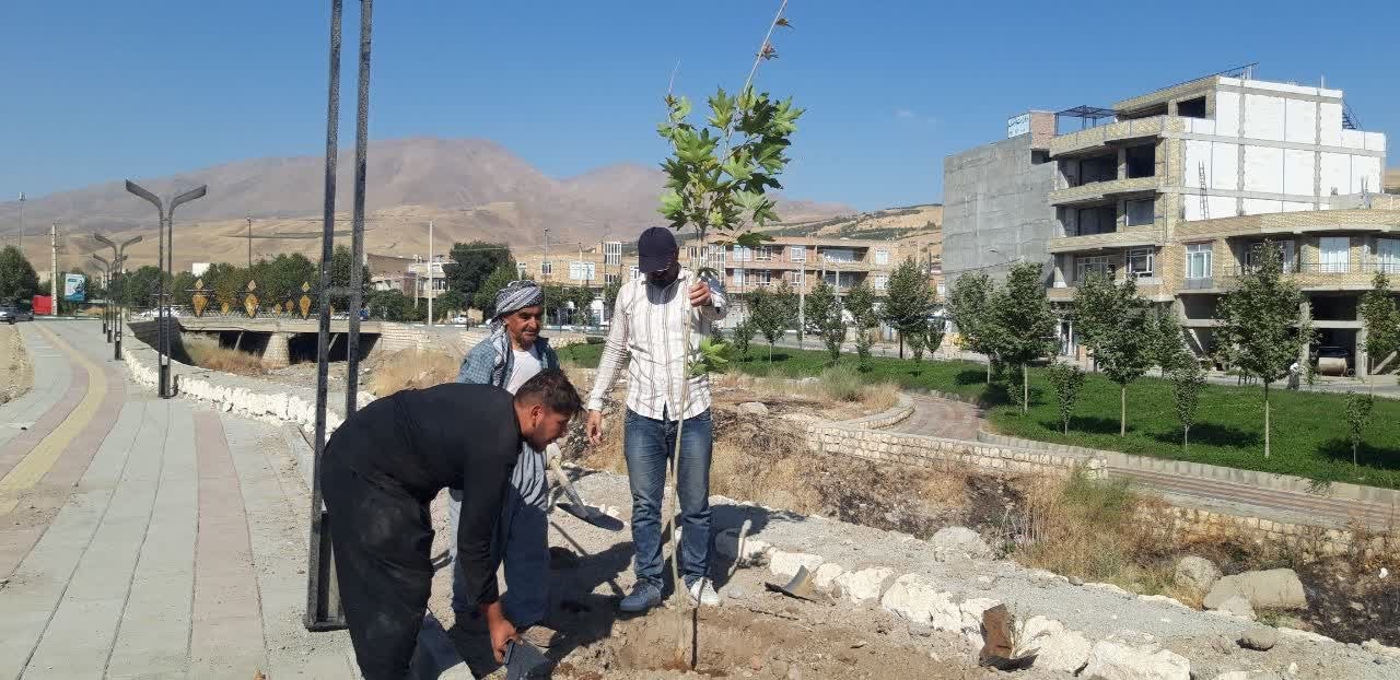 آغاز کاشت نهال و درخت در فاز چهارم ساحلی اشنویه