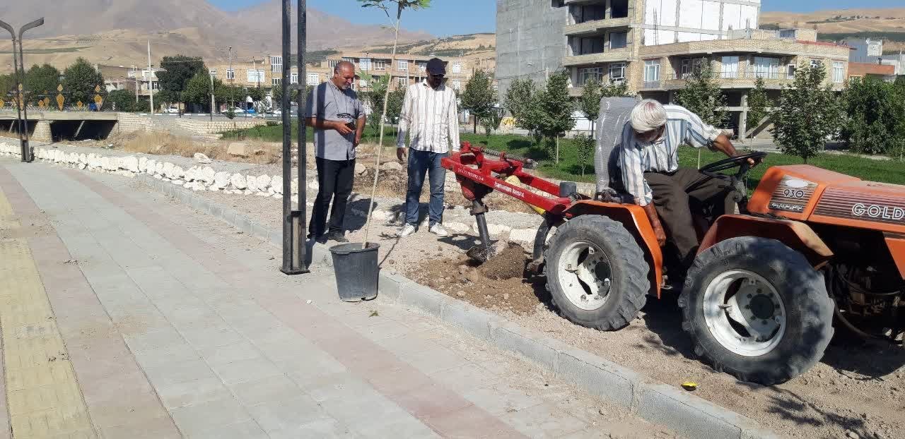 آغاز کاشت نهال و درخت در فاز چهارم ساحلی اشنویه