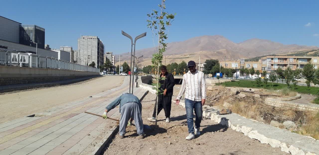 آغاز کاشت نهال و درخت در فاز چهارم ساحلی اشنویه