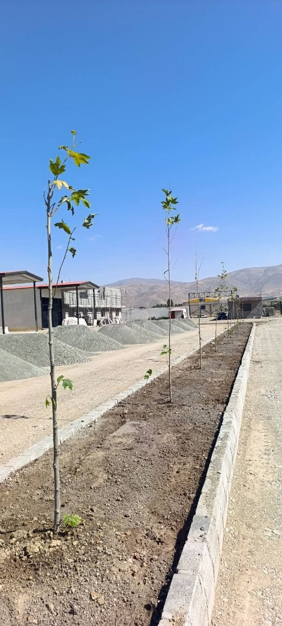کاشت درختان و ایجاد فضای سبز در محوطه پایانه صادراتی میدان میوه و تره‌بار اشنویه