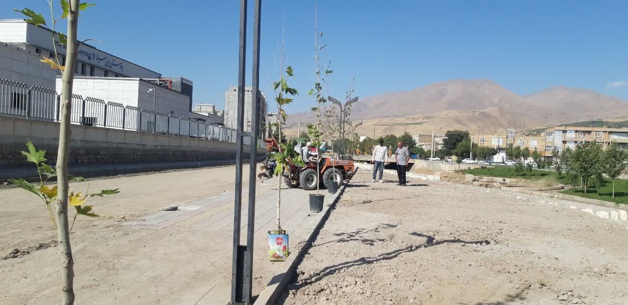 آغاز کاشت نهال و درخت در فاز چهارم ساحلی اشنویه